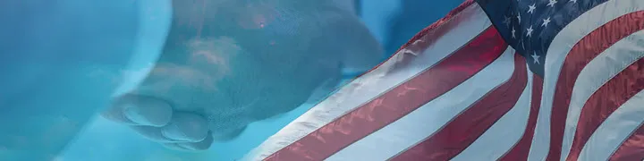 Close-up of handshake with American flag overlay representing trust, partnership, and eligibility request for association preferred insurance provider.